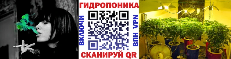 Канабис семена Купить где Кувшиново